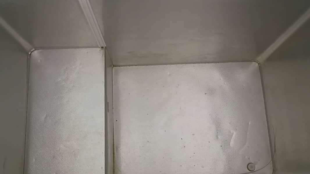 waves D Freezer 1
