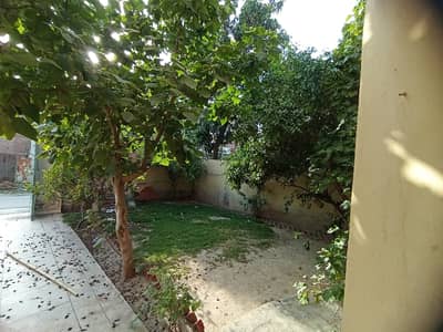 Johar Town Near To LDA Office One Kanal Single Story House Available For Rent