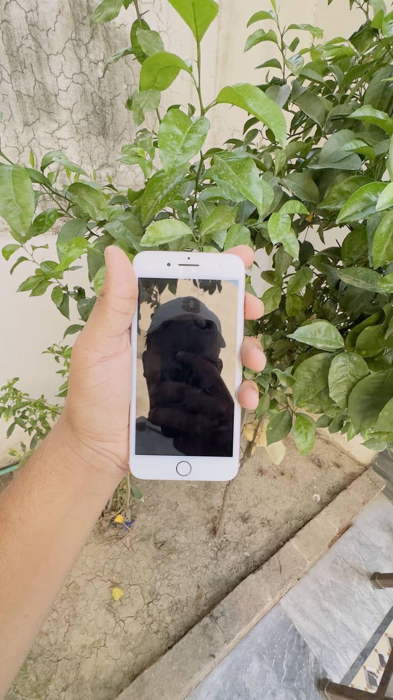 Apple iPhone 7 Plus 1