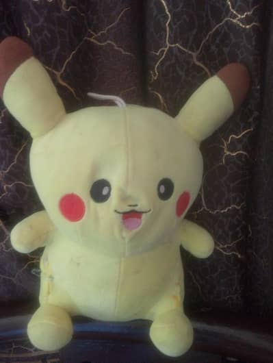 buy this beautiful picky mon