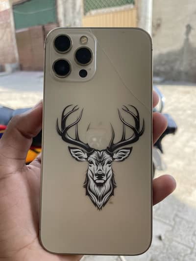 Apple iPhone 12 Pro Max