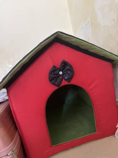 Cat house