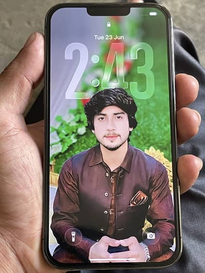 Apple iPhone 13 Pro Max