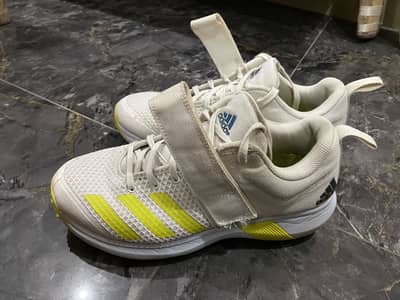 1 pair of shoes for sale Rs. 38000
