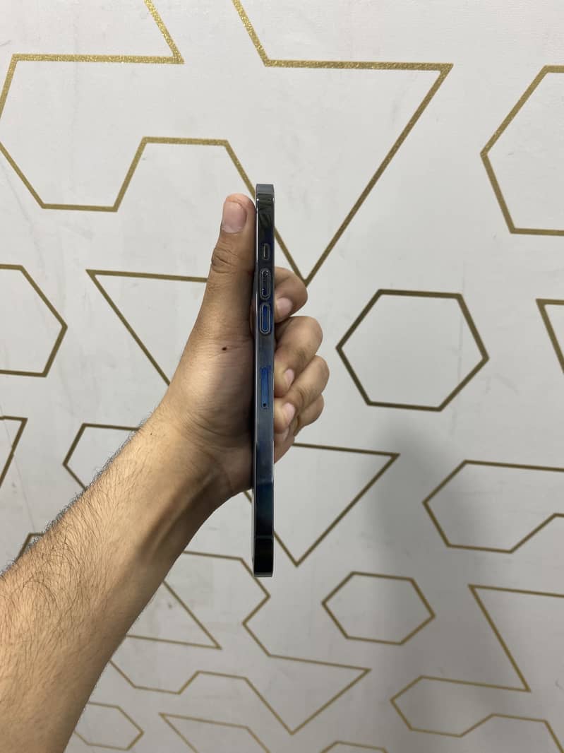 Apple iPhone 12 Pro Max 1