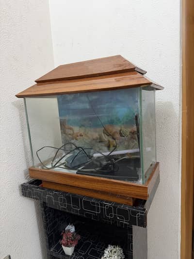 Fish aquarium with stand