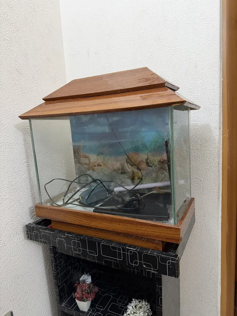 Fish aquarium with stand