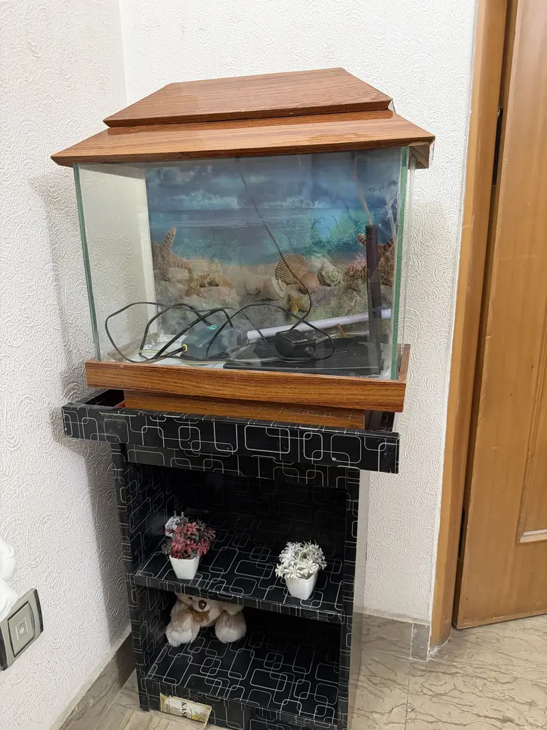 Fish aquarium with stand — photo 2