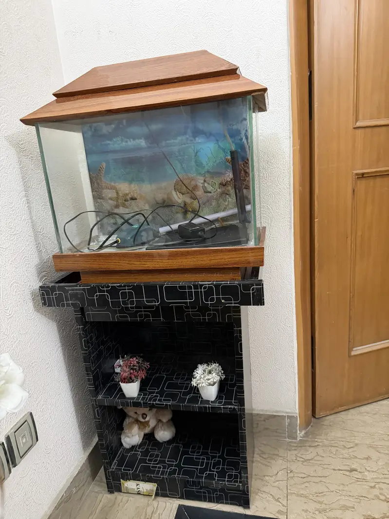 Fish aquarium with stand — photo 3