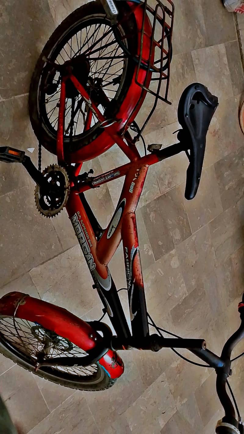 Morgan cycle 0