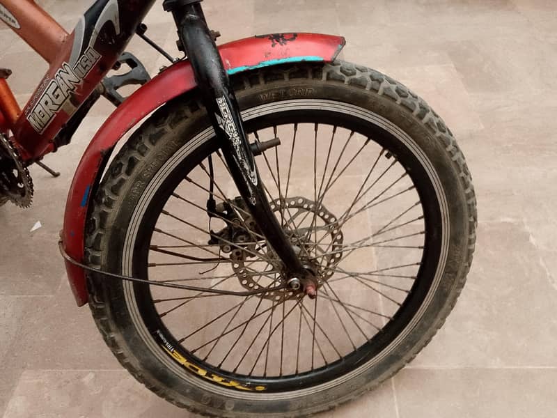 Morgan cycle 2