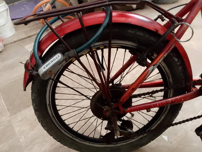 Morgan cycle 3