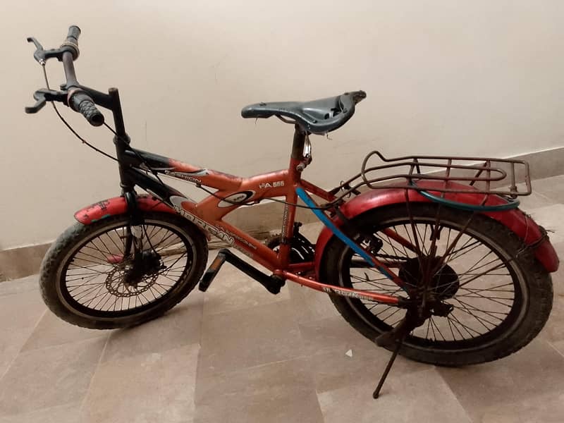 Morgan cycle 6