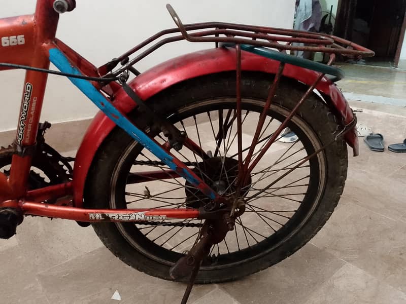 Morgan cycle 7