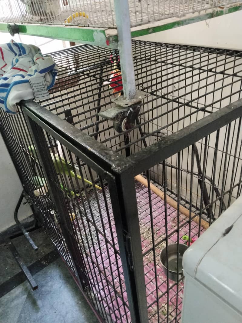Big Cage 2