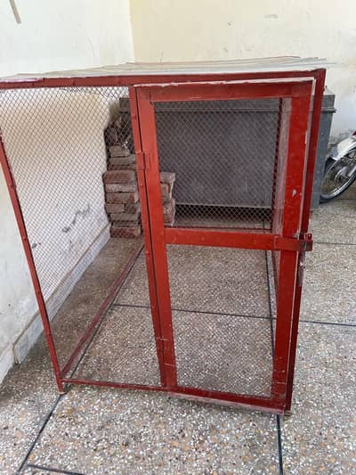 Birds Iron Cage
