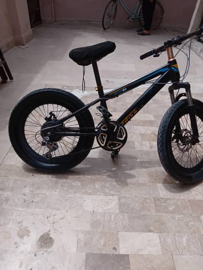 Fat tyre cycle