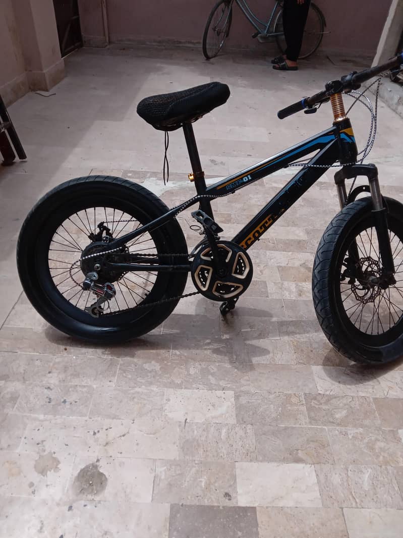 Fat tyre cycle 0