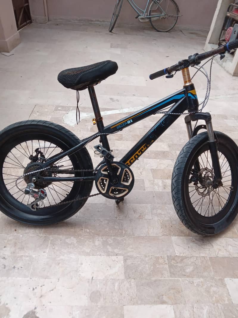 Fat tyre cycle 1