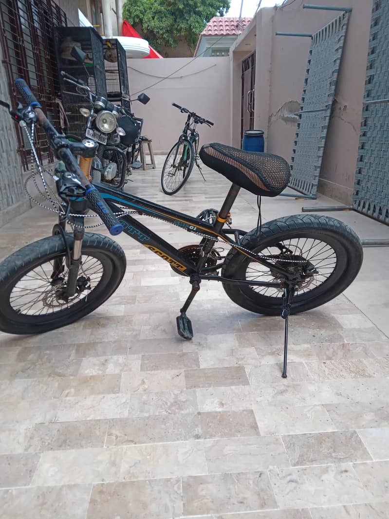 Fat tyre cycle 2