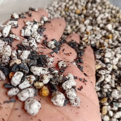 Sansevieria DryRich Potting Mix