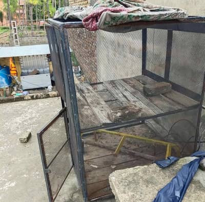 roster cage for sale