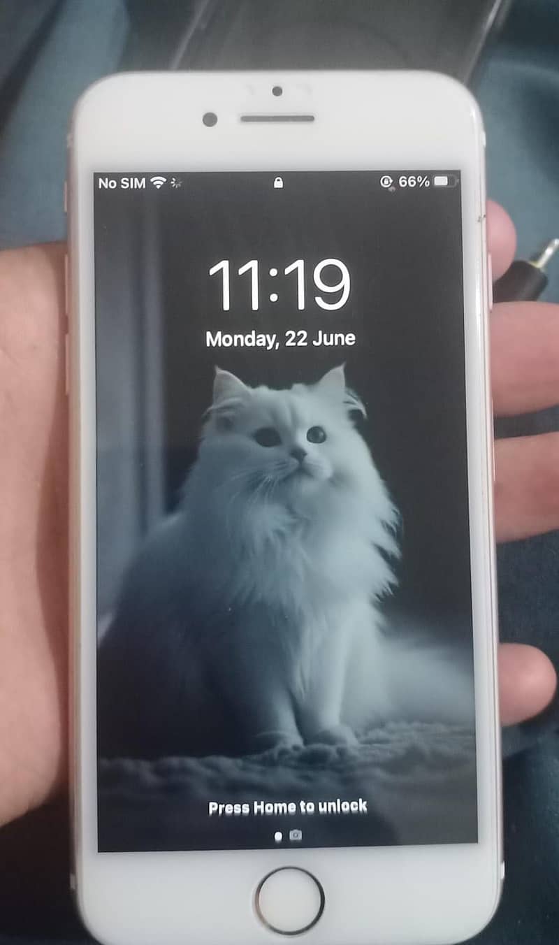 Apple iPhone 7 1