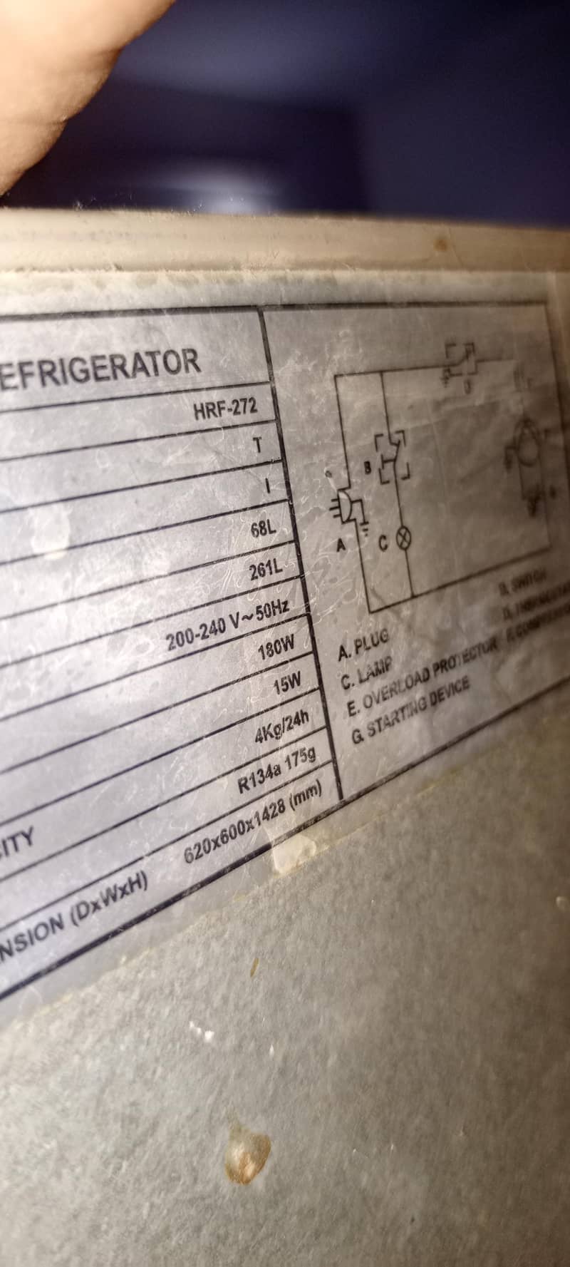 medium size fridge 3
