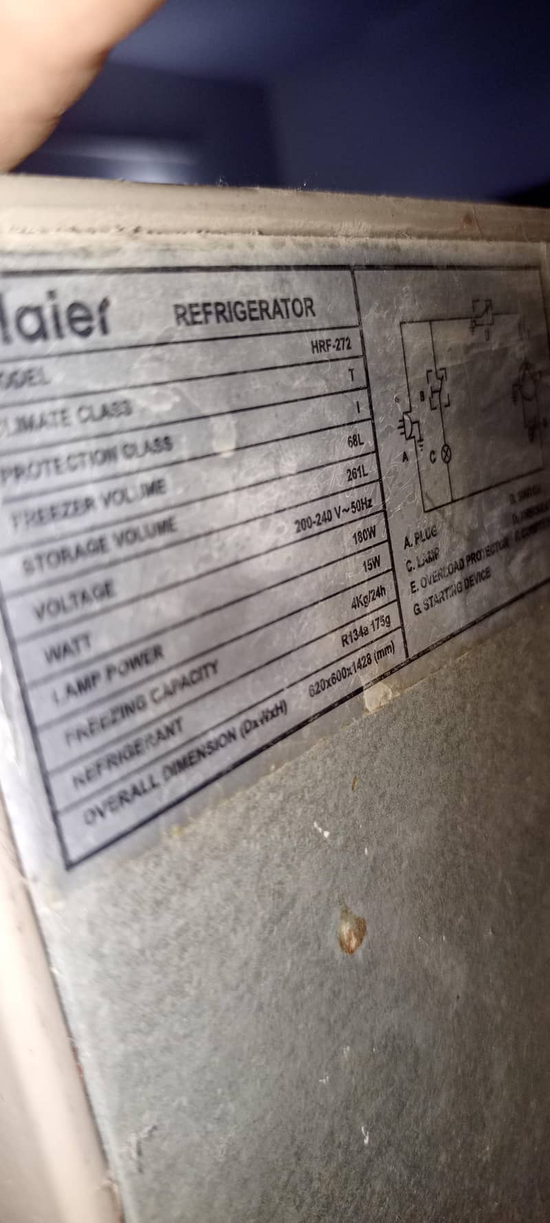medium size fridge 4