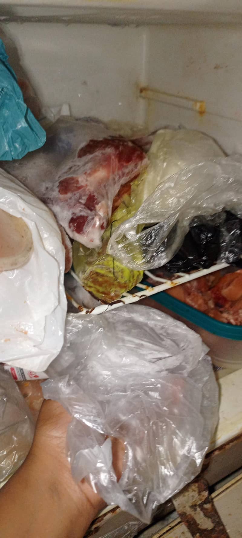 medium size fridge 5