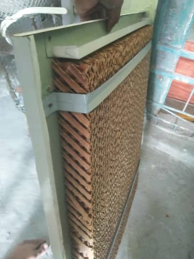 jumbo size air color