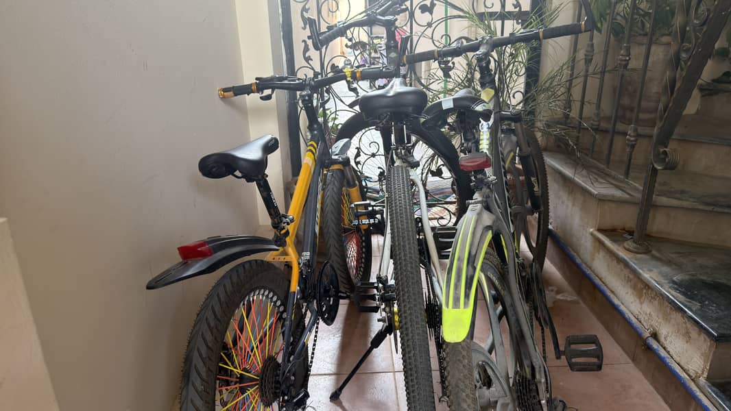 Bicycles 1