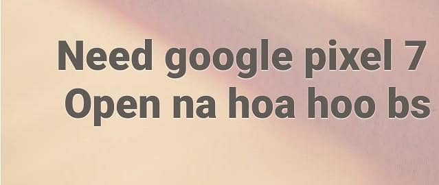 Google Pixel 7 0