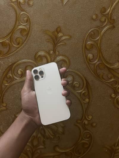 Apple iPhone 12 Pro Max