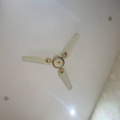 Royal Ceiling Fan for Sale (Set of 3)