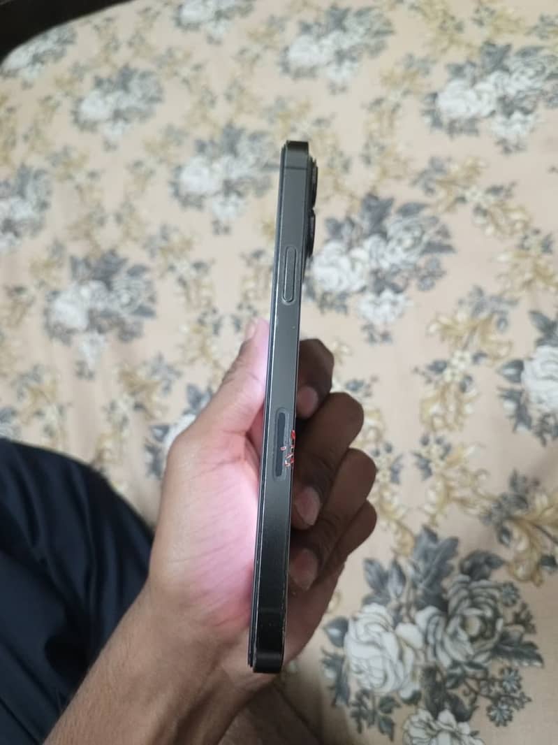Apple iPhone 13 Pro Max 2