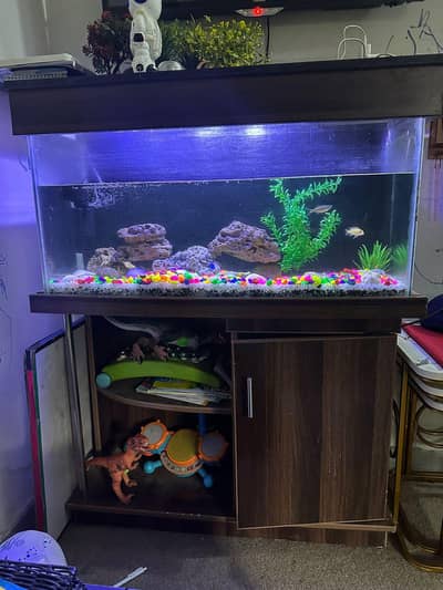 Fish Aquarium Like Newone with all decorations