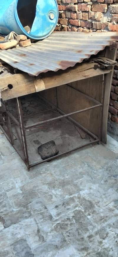 hens cage