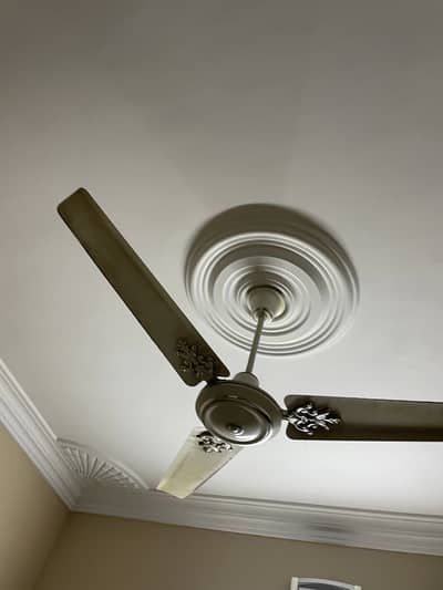 FANCY CEILING FAN FOR SALE