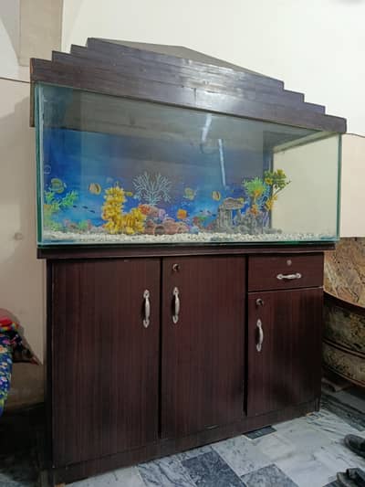 complete Fish Aquarium