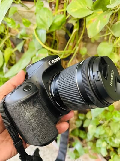 Canon 80D For Sale 750 Shutter Count Condition 10/10