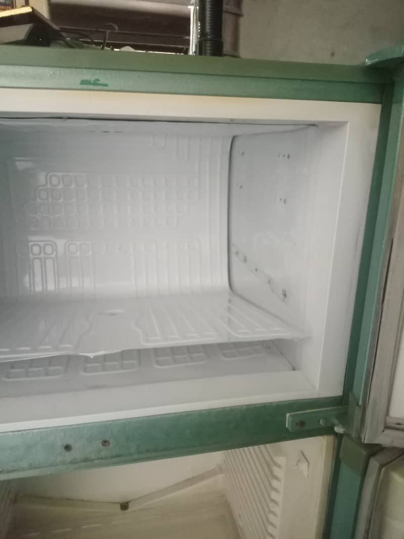 Friage 5