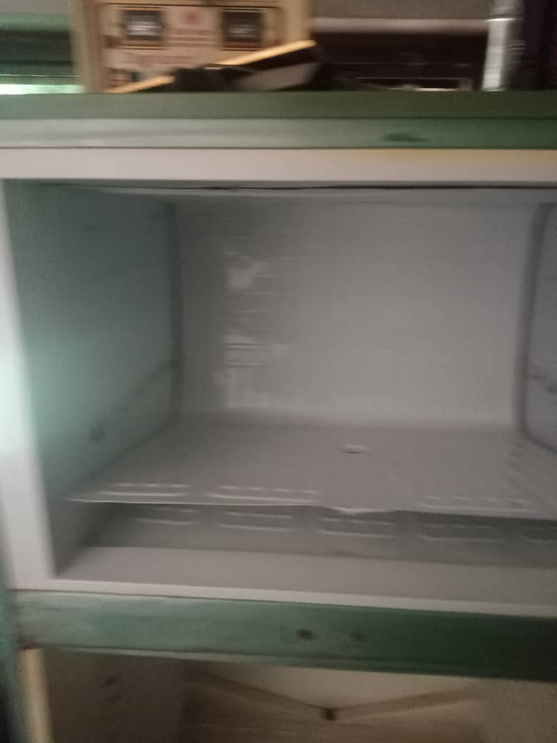 Friage 6