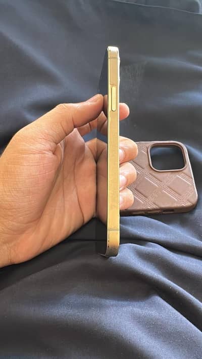 iphone 12 pro pta approved