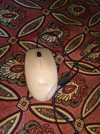 Mouse