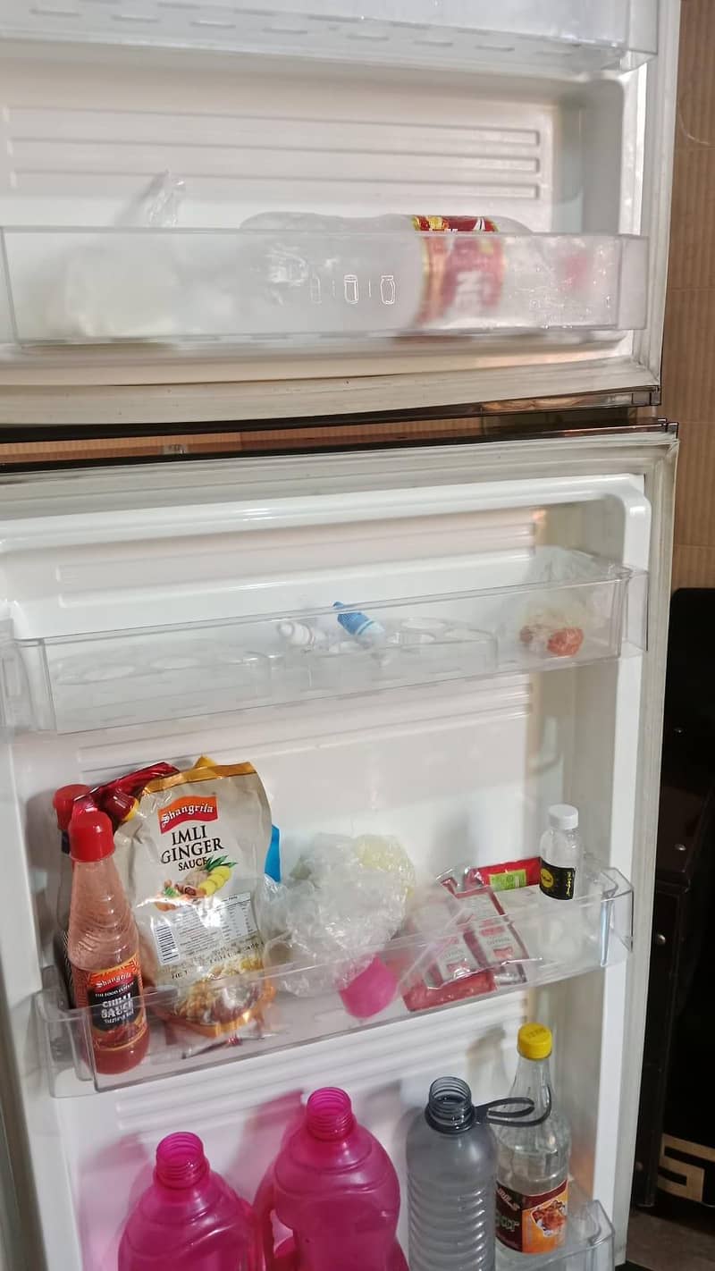 fridge 1
