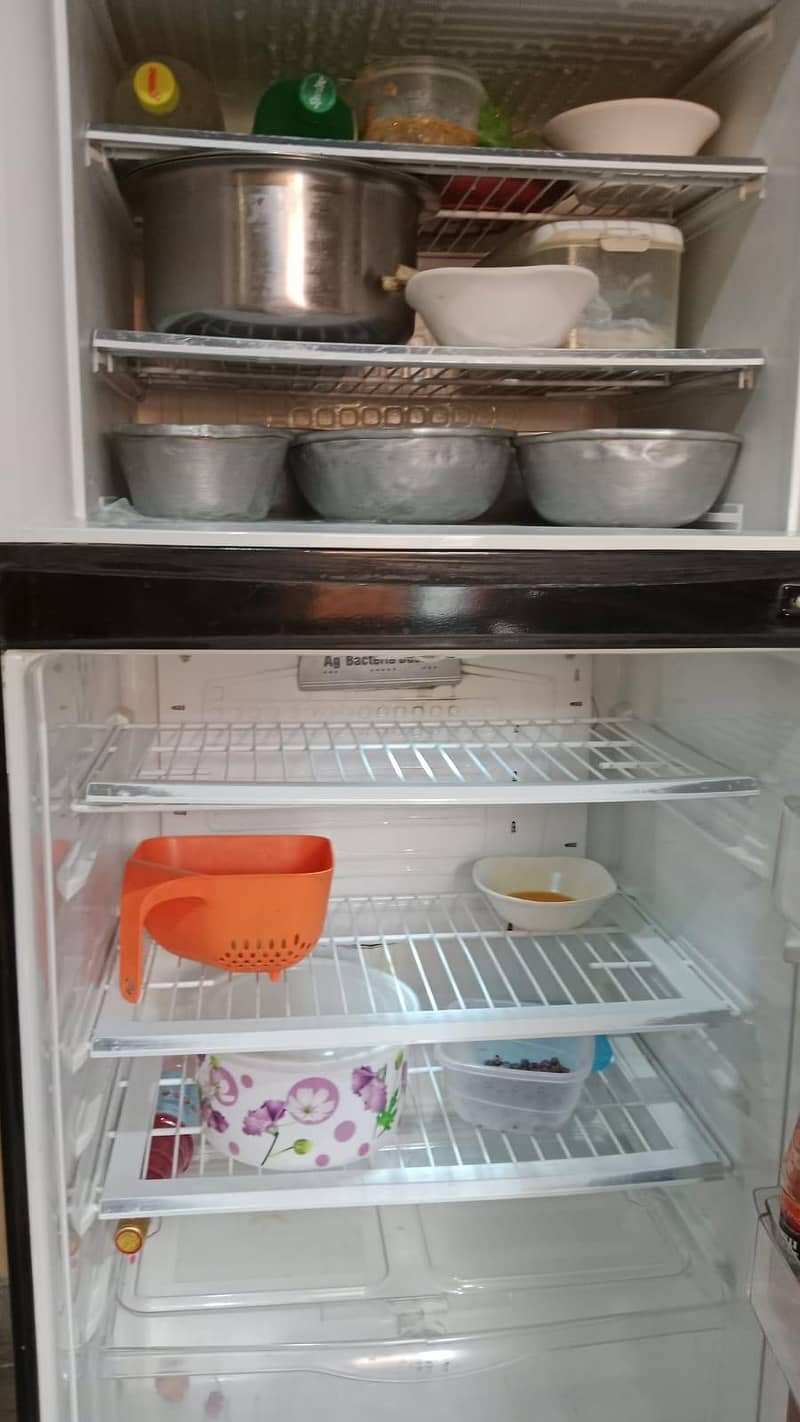 fridge 2