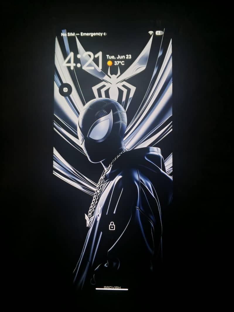 Google Pixel 6 Pro 0