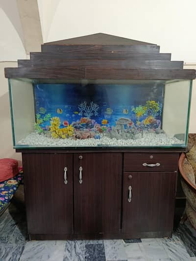 complete Fish Aquarium