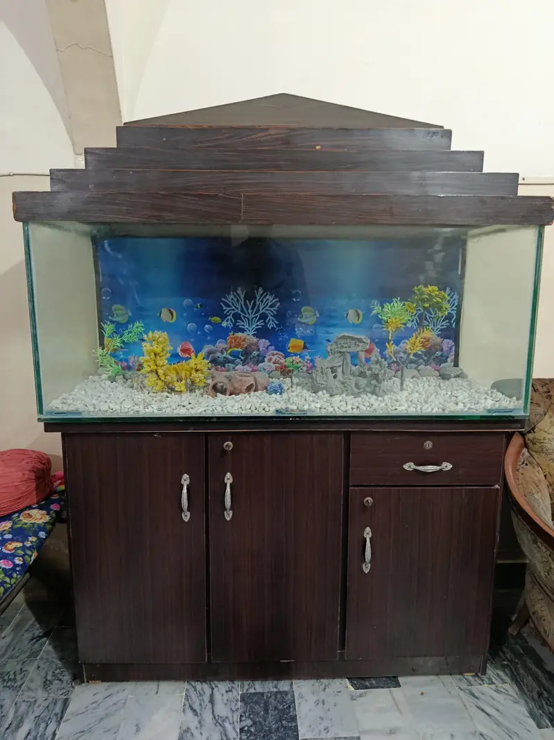 complete Fish Aquarium